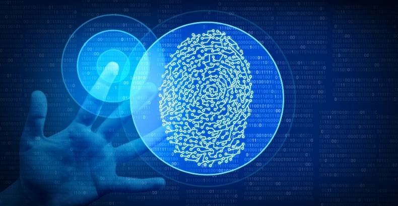 What Are Biometrics and Why Are They Important